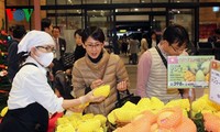 La mangue vietnamienne entre au marché japonais