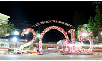 Coup d’envoi de la Fête des fleurs de sarrasin de Ha Giang