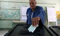 Résultats des élections législatives égyptiennes 