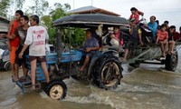 Philippines : 700 000 personnes fuient le typhon Melor