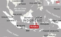 Ferry disparu en Indonésie : Vingt-trois passagers retrouvés vivants 
