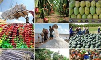Le Vietnam sera un grand producteur agricole en Asie du Sud-Est