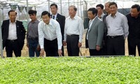 Truong Tan Sang apprécie des modèles agricoles à Lam Dong