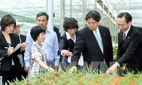 Intensifier la coopération agricole entre Nam Dinh et Miyazaki (Japon)