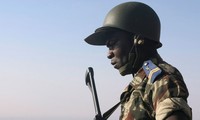 Cameroun: plusieurs attentats-suicide font au moins 26 morts 