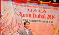 Comité de liaison des Vietnamiens aux Emirats arabes unis voit le jour