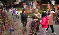 Hanoi accueille le printemps dans l’effervescence