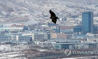 Réactions sud-coréennes suite à la suspension des activités du parc industriel de Kaesong