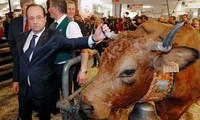 Agriculture : face à la grande distribution, Hollande veut faire afficher le prix producteur