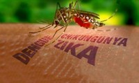 Aucun cas de virus Zika détecté au Vietnam