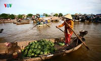 Le marché flottant de Cai Rang