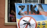 Zika : 8 groupes d’inspections ont vu le jour