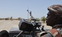 Plus de 300 militants de Boko Haram ont été arrêtés