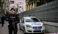 Six étrangers liés à l'État islamique arrêtés par la police turque 
