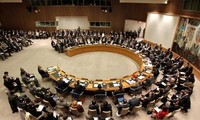Le Golan restera sous souveraineté israélienne : le Conseil de sécurité rejette la déclaration 