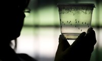 Premier décès lié au virus Zika sur le sol américain