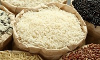 Gérer et développer le label du riz vietnamien 