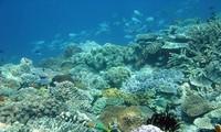 Journée mondiale des océans : l'ONU demande aux Etats de s'engager à les protéger 