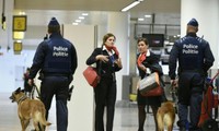 Nouvelle arrestation en Belgique dans l'enquête sur les attentats de Bruxelles