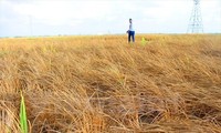 Vietnam: La BM accorde 387 millions de dollars à l’adaptation au changement climatique