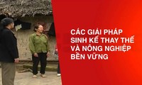 ActionAid Vietnam aide les pauvres à mieux gagner leur vie durablement