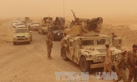 Plusieurs combattants de l’EI abattus en Irak