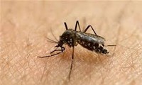 Les Philippines confirment trois nouveaux cas de virus Zika