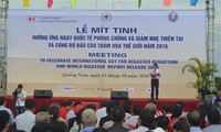 La journée internationale de la prévention des catastrophes fêtée au Vietnam