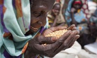 Appel à une coopération mondiale contre la pauvreté et la famine