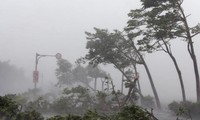Le typhon Haima touche terre dans le sud de la Chine