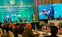 Le Vietnam lutte contre le trafic d’espèces sauvages
