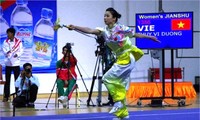 Mondial de Wushu 2016: trois médailles pour le Vietnam