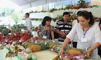 Créer une place digne des fruits du Vietnam sur le marché mondial