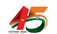 Célébration du 45ème anniversaire des relations diplomatiques Vietnam-Inde