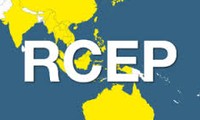 Retrait des USA du TPP: 16 pays en Asie-Pacifique discutent le RCEP 