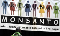 Monsanto: Des députés européens demandent une commission d’enquête 