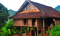 Les maisons traditionnelles vietnamiennes