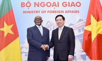 Vietnam-Cameroun: entretien entre les chefs de la diplomatie