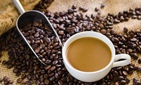 Quelles sont les marques de café les plus connues au Vietnam?