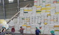 L’exportation du riz vietnamien en 2020