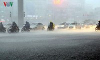 Cette année, au Vietnam, la pluie est-elle suffisante?