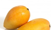 La mangue est-elle un fruit populaire au Vietnam?