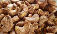 La production et l’exportation des noix de cajou du Vietnam