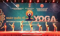 Célébration des 10 ans de la Journée internationale du yoga à Hai Duong