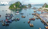 Foreign media hails beauty of Bai Tu Long island