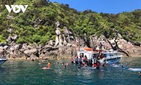 Cu Lao Cham Island attracts crowds of visitors 