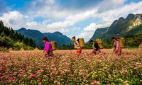 Ha Giang works to position and build its unique tourism brand