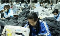 Ekonomi Vietnam mencatat banyak indikasi yang menggembirakan pada bulan Januari 2012.