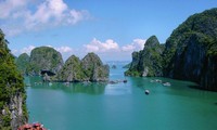 "Warisan budaya kelautan Vietnam” : Menegaskan kedaulatan laut dan pulau Vietnam