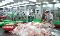 Vietnam mengekspor 30.000 ton ikan patin ke Federasi Rusia.